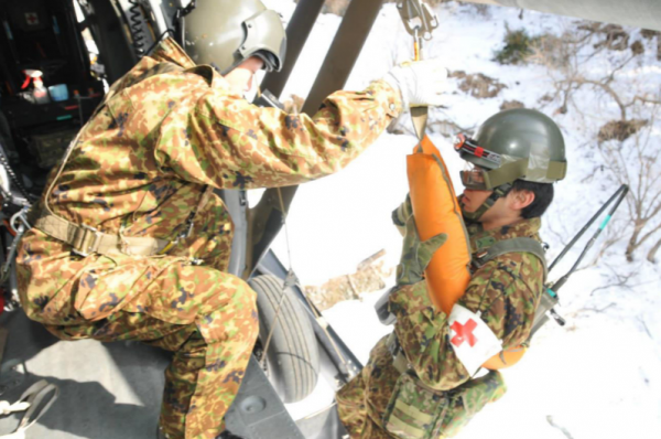 History of Japanese Self Defense Force Camouflage Patterns: 1970’s ...